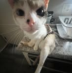 Shyanne Hall - Facebook