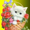shyla john - @user200507459 - TikTok