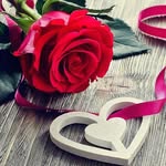 Shyni Abraham - @shyniabraham7997 - Instagram