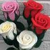 Shyni Abraham - Facebook