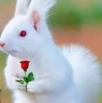 Shalu Mathew Mathew - Facebook