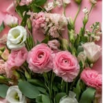 Shynikrishnan - @shynikrishnan8 - Instagram
