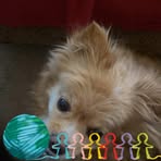Sherry Smith - Facebook