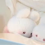 祀酱酱 - @sijiangjiang - Instagram