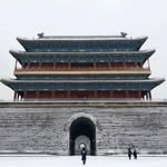 王斯姜 - @sijiangwang - Instagram