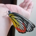 PHƯƠNG NGUYỄN - @sianguyen13579 - Instagram