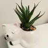 Sia Nguyen - @sia.nguyen8 - TikTok