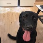 Sia Vangstrup - @sia_vangstrup - Instagram