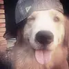 SIAH - @josiahjohnson605 - TikTok