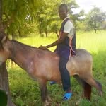 Siaka Diakité - @siaka.diakite.923 - Instagram