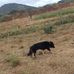 Siaka Stevens - Facebook