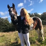 Sian Alexander - @sian.equine - Instagram