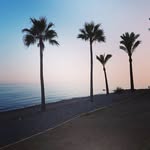 Sian Armstrong - @sian.armstrong7 - Instagram