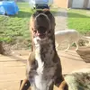 sian_ashley - @sian_ashley - TikTok