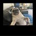 Sian Atkinson - Facebook