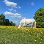 Sian Bell - Facebook