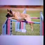 Sian Bishop - @sian.bishop.507 - Instagram