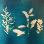 Siân Blake - @thegreenartstudent - Instagram