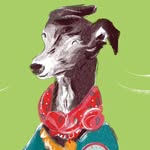 Sian Bowman - @sianbowmanillustrator - Instagram