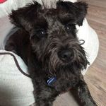 Sian Brennan - @sian.brennan.39 - Instagram