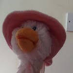 Mrs Pie - @sianbrooke2019 - Instagram