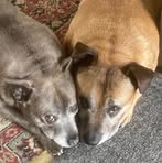 Sian Butler - Facebook