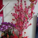 Sian Chan - Facebook