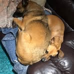 Sian Clarke - Facebook