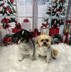 Sian Cooper - Facebook