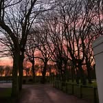Siân Crossley - @siancrossley29 - Instagram