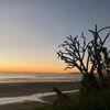siana.duncan - @siana.duncan - TikTok