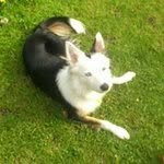 Sian Edwards - @sian.edwards.5437 - Instagram