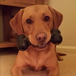 Sian Gardner - @sian_gardner - Instagram