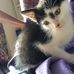 Sian Graham - Facebook