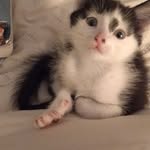 Sian Graham - @graham.sian - Instagram