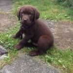 Sian Harrison - @sian.harrison.921 - Instagram