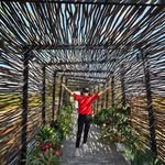 Mooi Sian Lim - @mooisian - Instagram