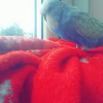 Siân Preston - @lo.us_ie_priv - Instagram