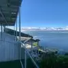 Sicong Liu - @sicong.liu1 - TikTok