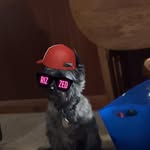 sid - @sid_.beckman - Instagram
