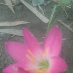 Abu Baker Siddik - Facebook