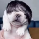 sidney fletcher - @sid_is_sleepy - Instagram