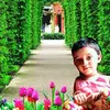 Siddhartha Ghatak - @siddharthaghatak - TikTok