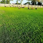 @sid.hashemi.j - Instagram
