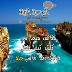 Rabeh Laidli - @sid.3.lee - Instagram