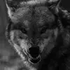 Sid Richardson - @sid.richardson4 - TikTok
