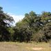 Sid Richardson Scout Ranch - Facebook