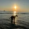 sidrichardson802 - @sidrichardson802 - TikTok