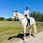 Sid Smith - @sidsmith_equestrian - Instagram
