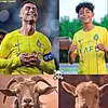 Side king - @side.solomon - TikTok